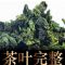 新茶秋茶铁观音王浓香型茶铁观音茶叶正品正宗14