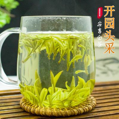 正宗开园头采安吉白茶新茶高山礼盒装过年过节送礼1
